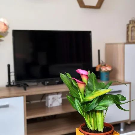 Apartment Colibri *